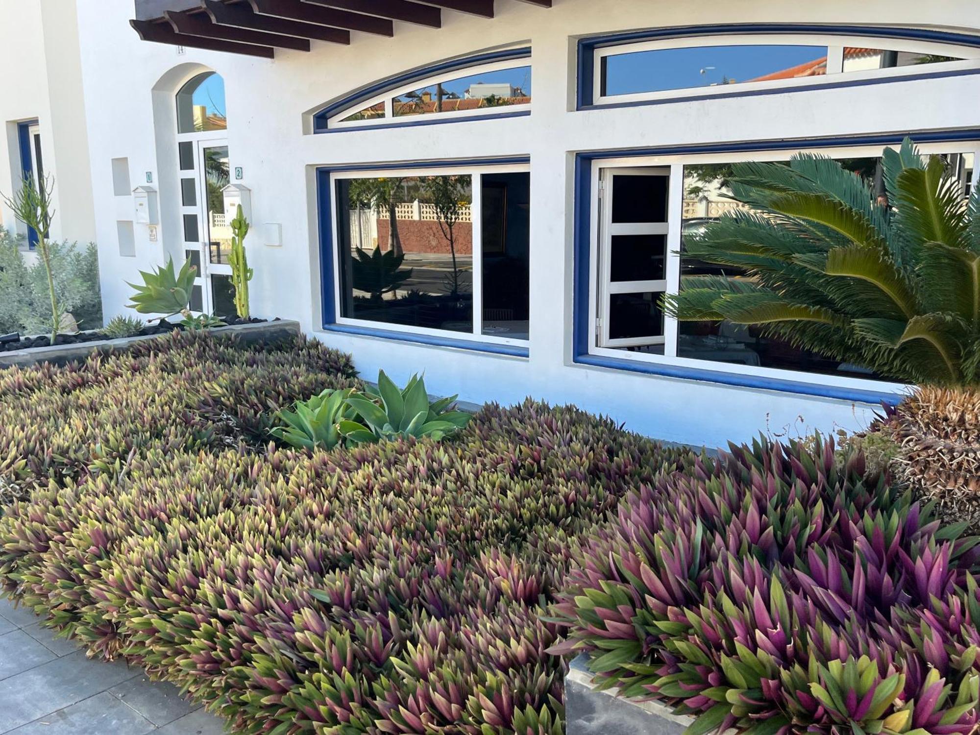 Playa Del Duque-Amazing Views 2 Bedroom アデヘ エクステリア 写真
